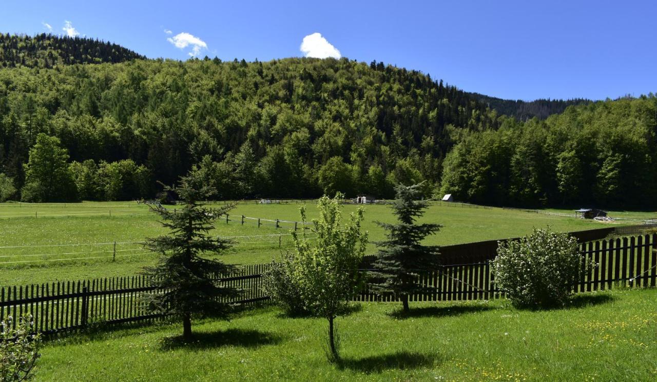 Apartament Rojka Zakopane Exterior photo